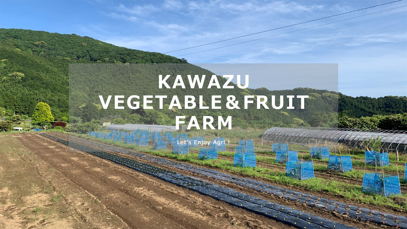 KAWAZU VEGETABLE＆FRUIT FARM