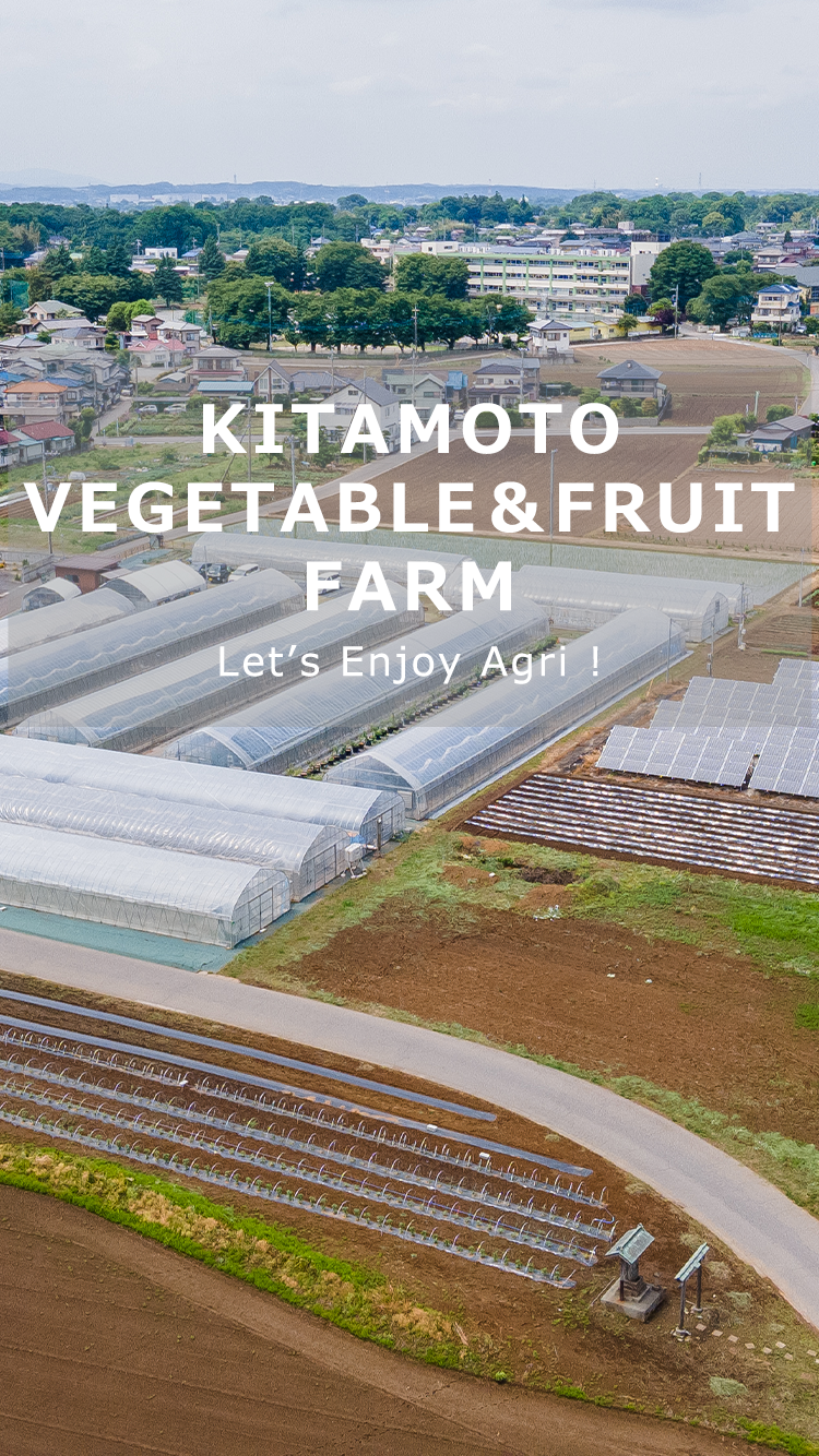 KITAMOTO VEGETABLE＆FRUIT FARM