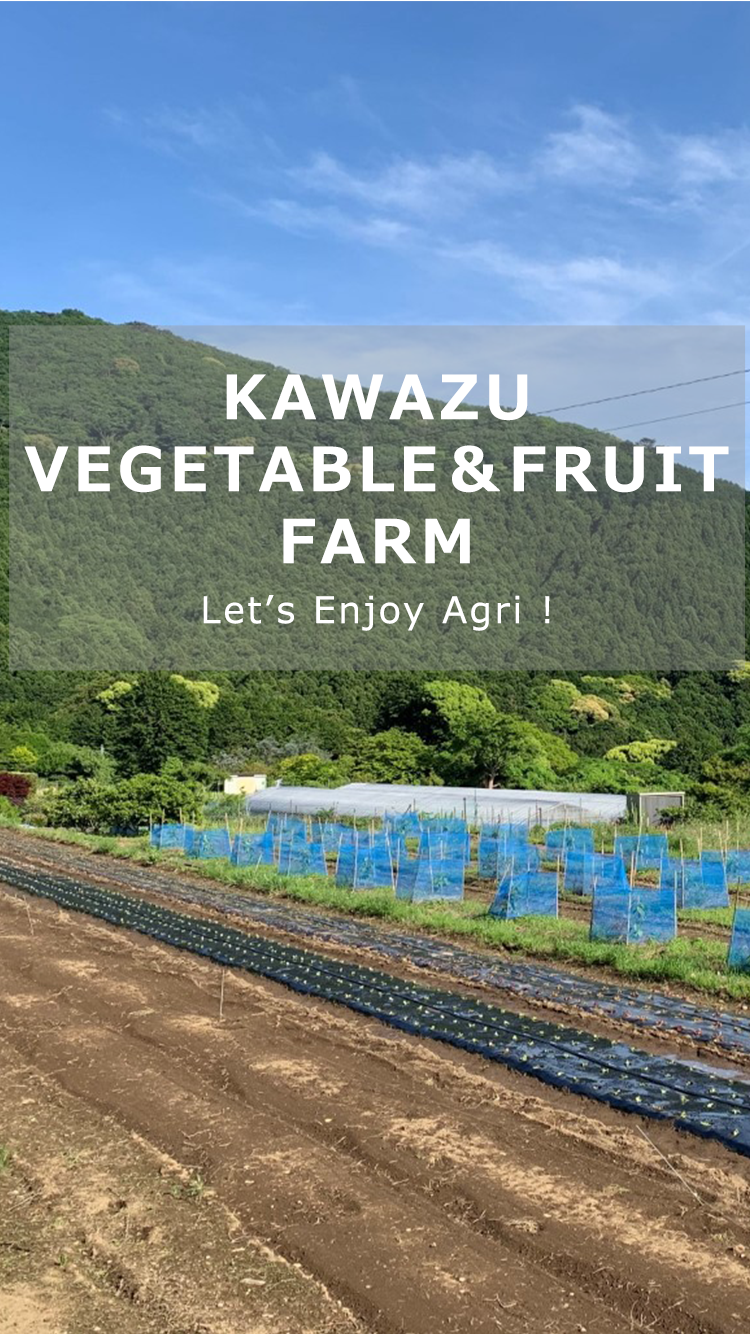 KAWAZU VEGETABLE＆FRUIT FARM